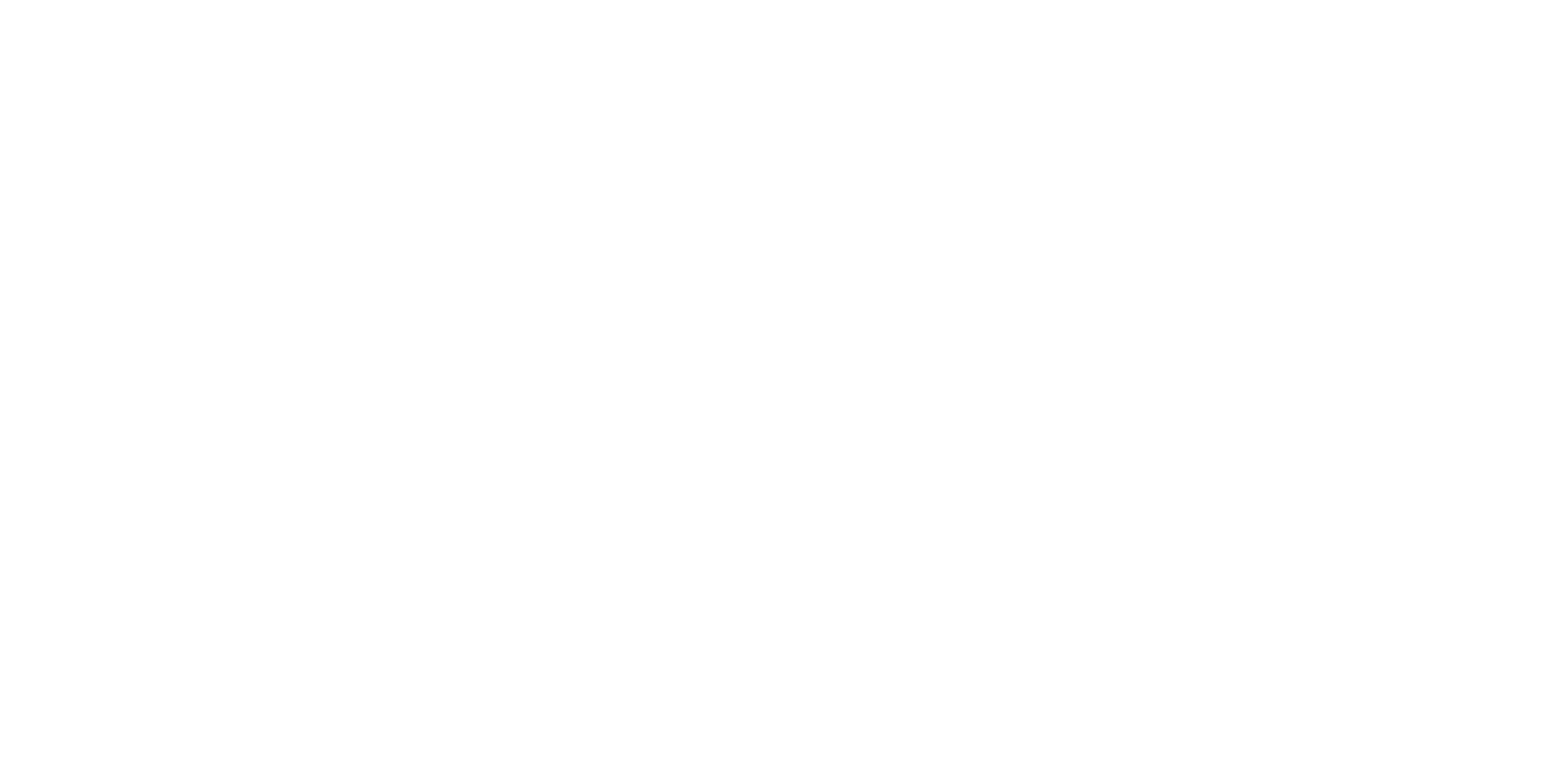 Christina Duncan Logo